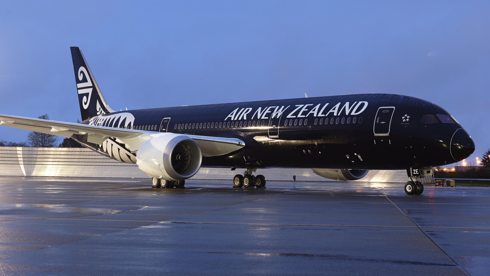 Air New Zealand plane at the airport