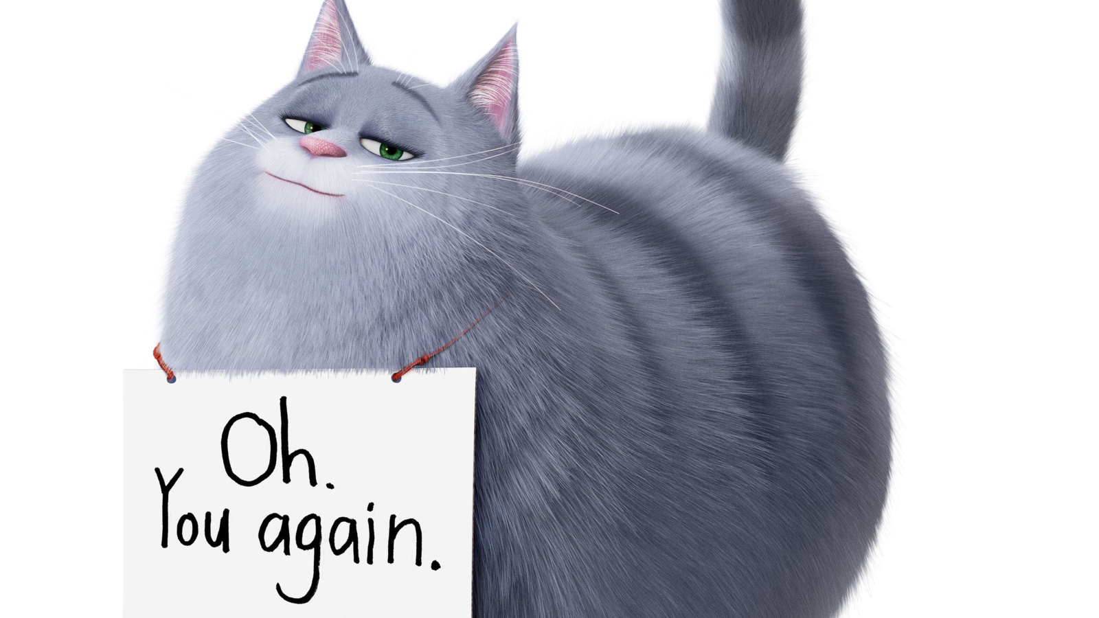 Chloe the Cat from the Secret Life of Pets 2 on a white background
