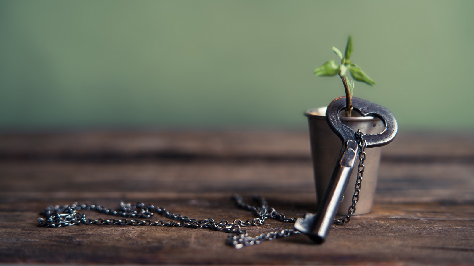 Ключ на цепочке одет на веточку в стакане