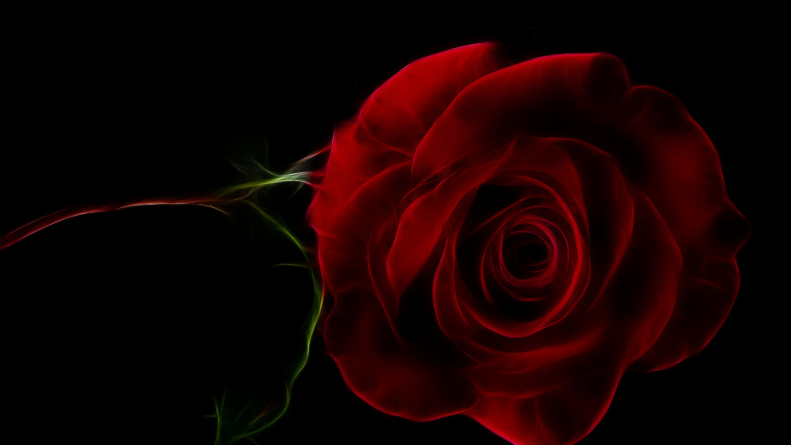 Нарисованная красная роза на черном фоне