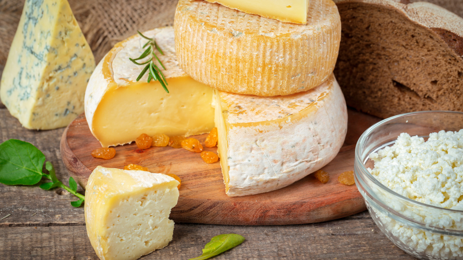 Сыр с плесенью на столе с хлебом и творогом