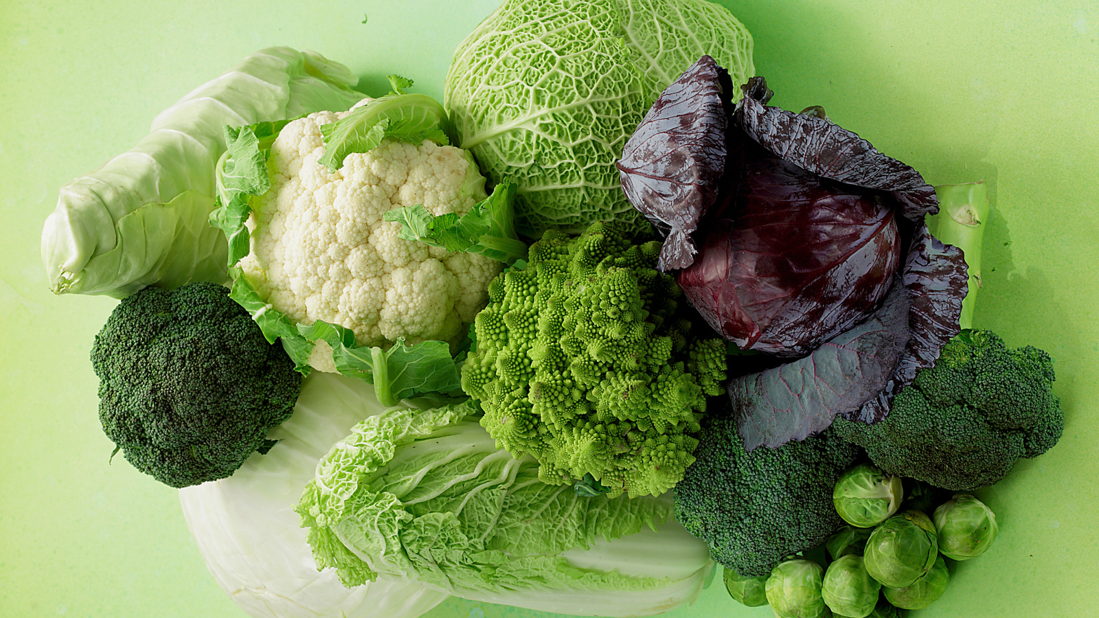 Разные виды капусты на зеленом фоне крупным планом