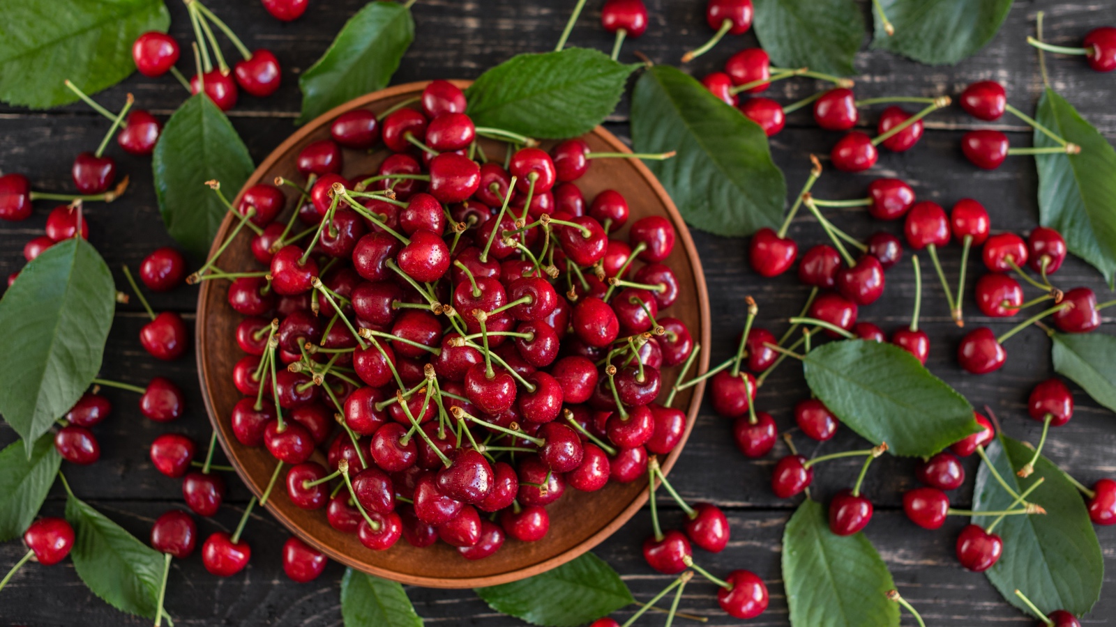 Много спелой красной черешне в миске на столе
