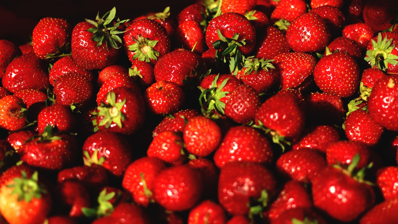 Аппетитная сладкая спелая клубника крупным планом