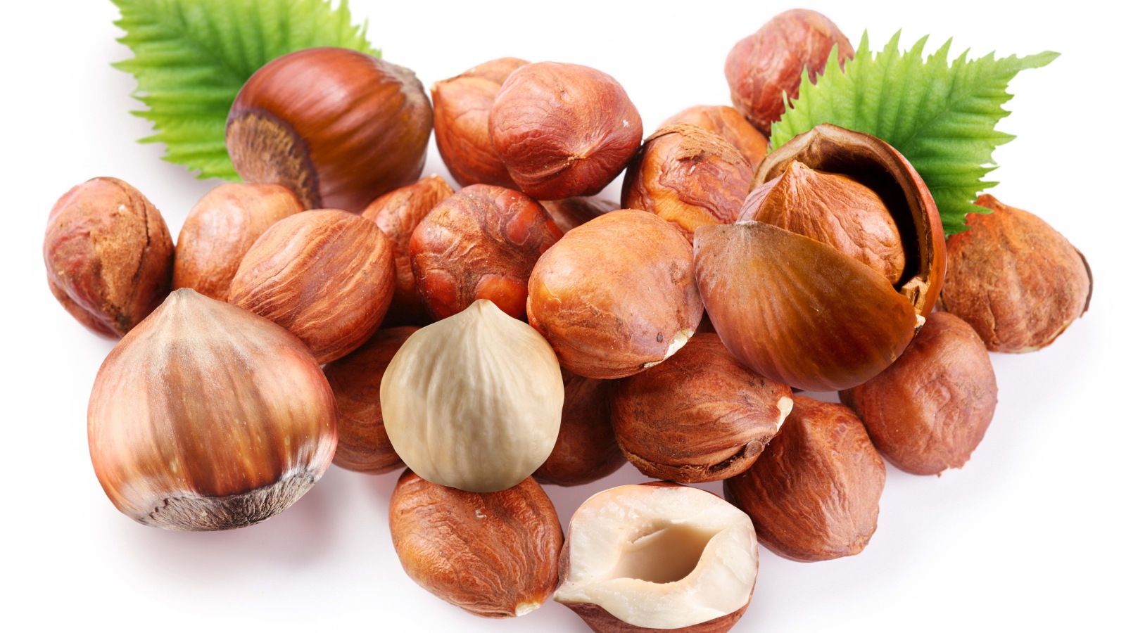 Много лесных орехов на белом фоне