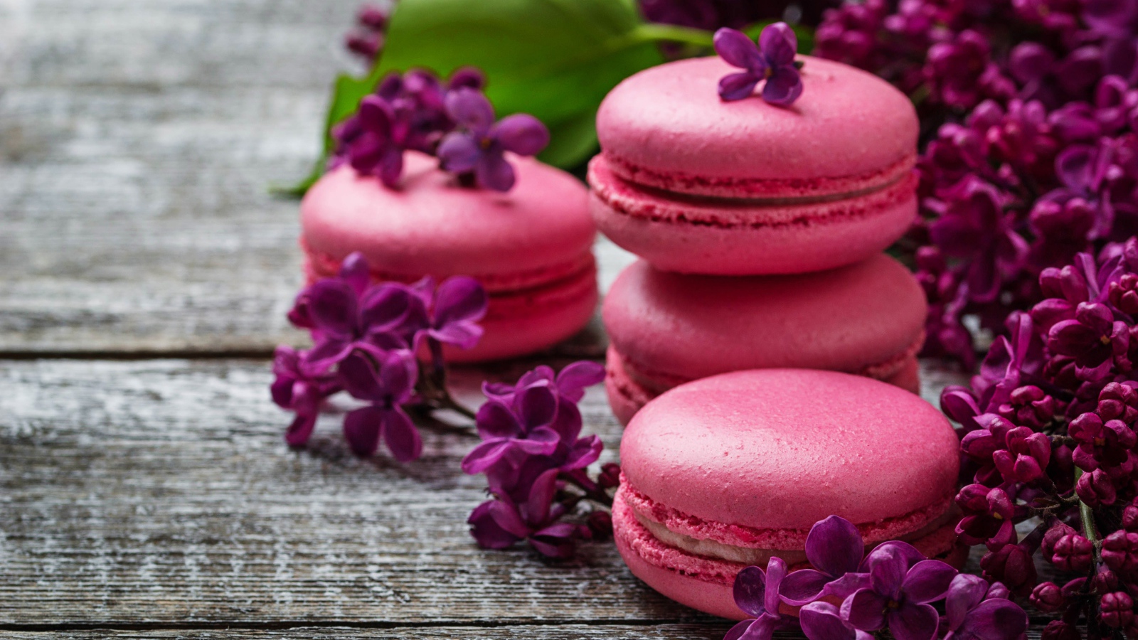 Розовый десерт макарон на столе с сиренью