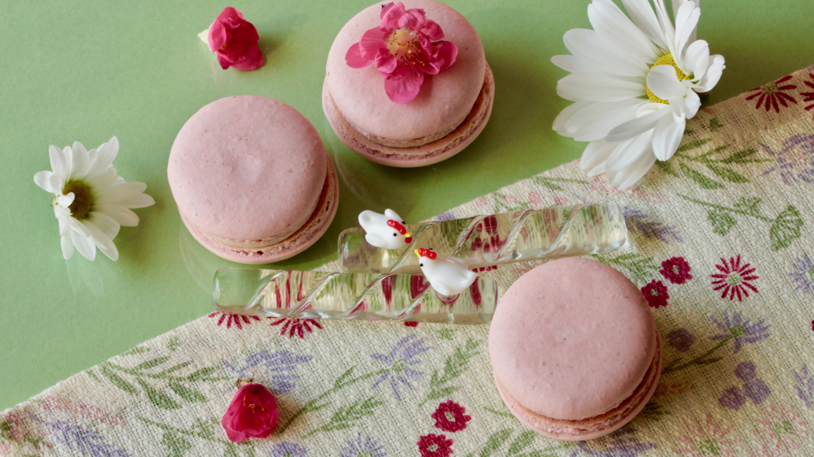 Розовый десерт макарон на столе с белыми цветами ромашек
