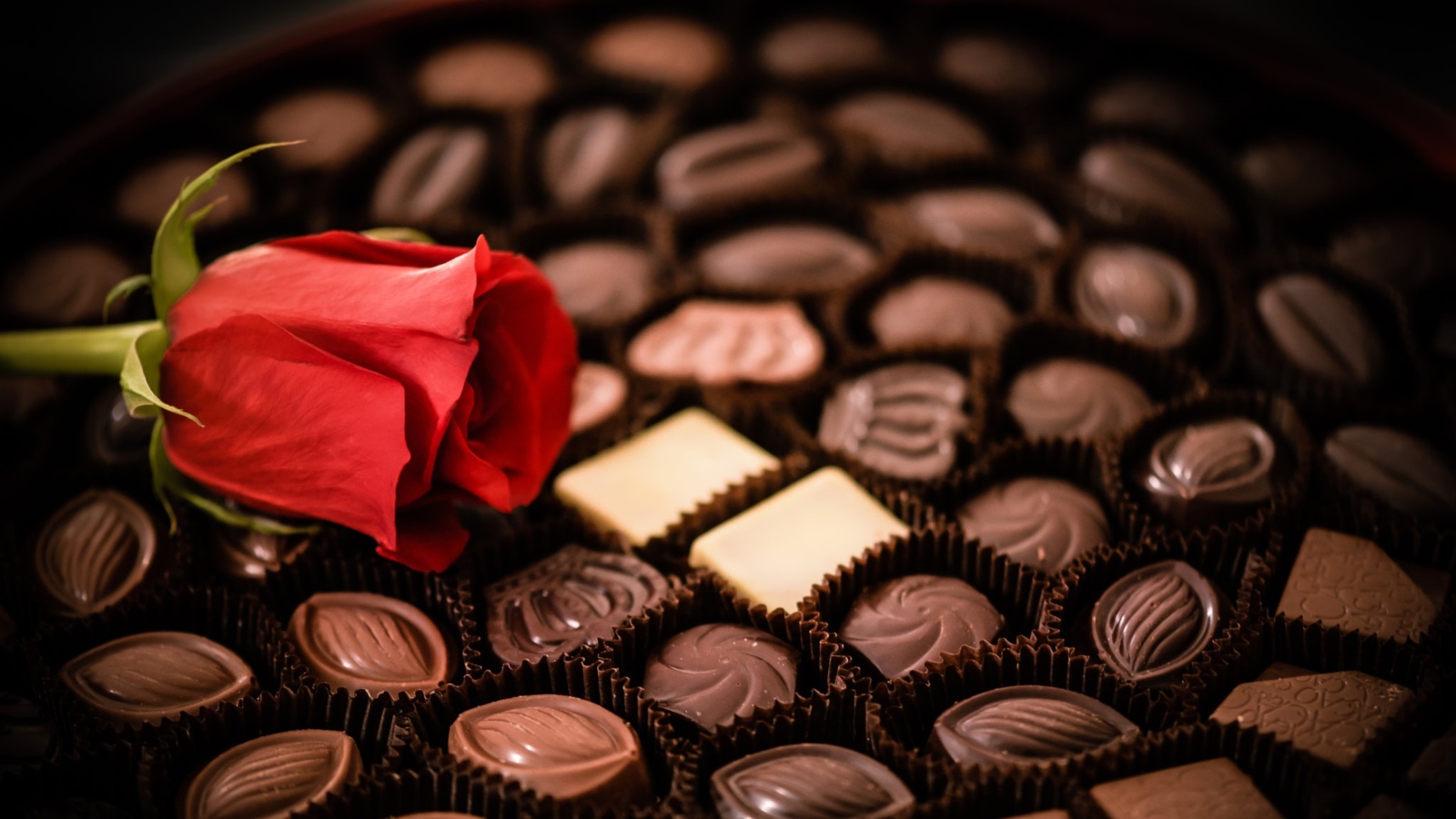 Красная роза лежит на коробке с шоколадными конфетами ассорти 