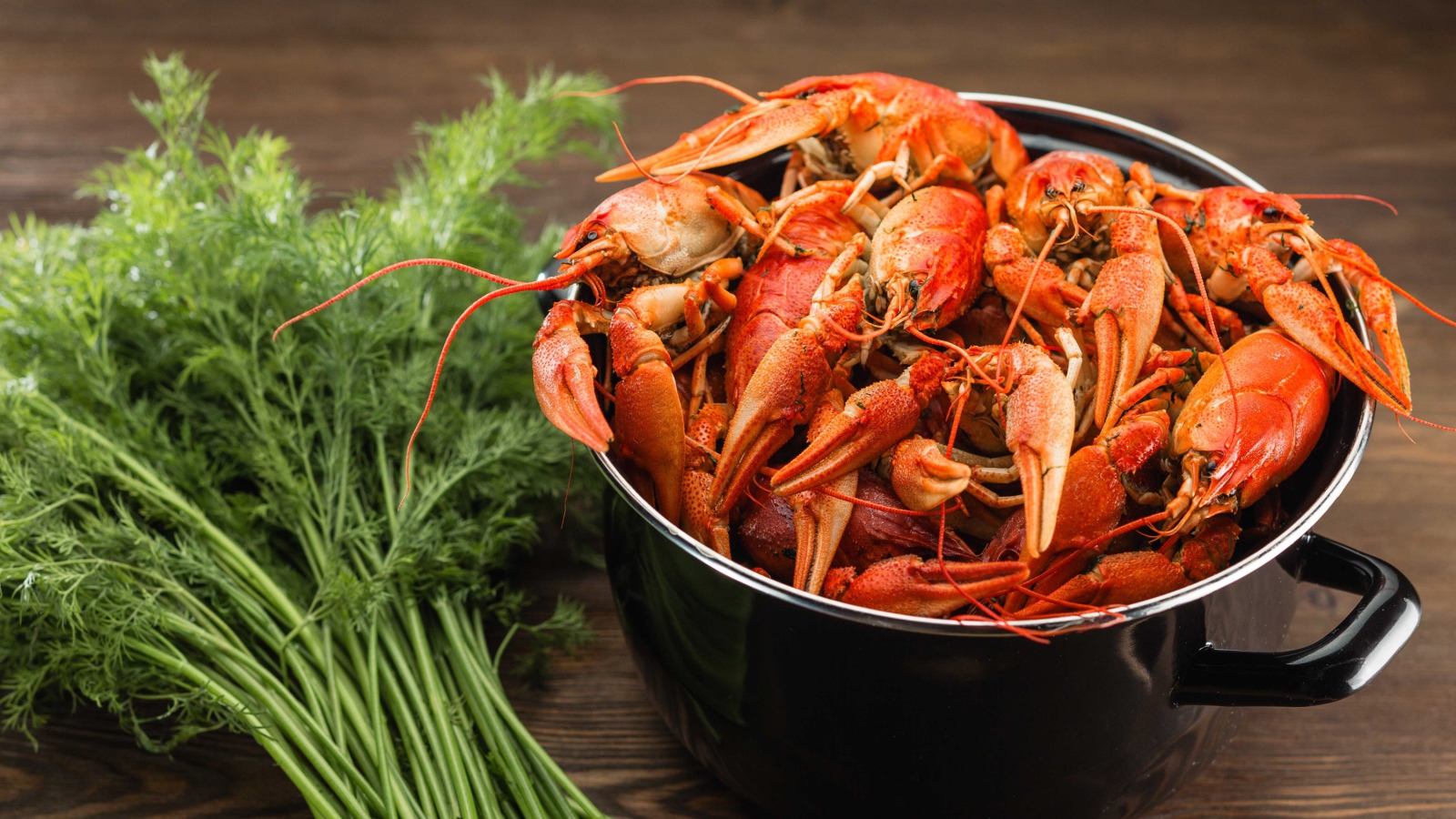 Вареные раки в кастрюле на столе с укропом