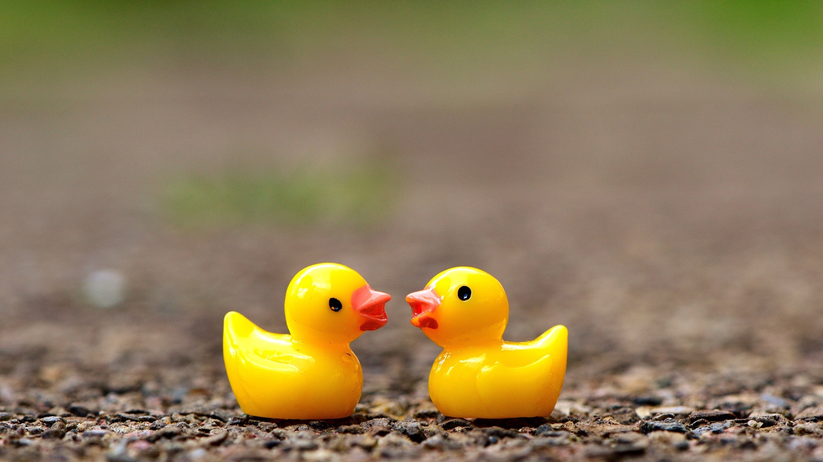 Две игрушечных желтых уточки на асфальте 
