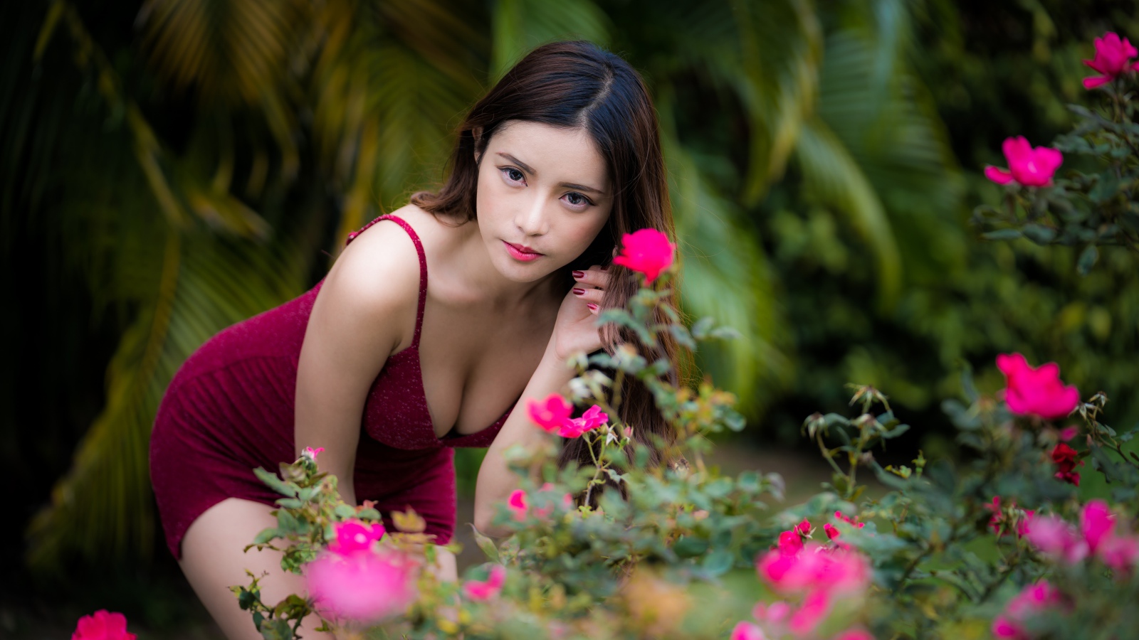 Девушка азиатка в красивом красном платье у куста роз