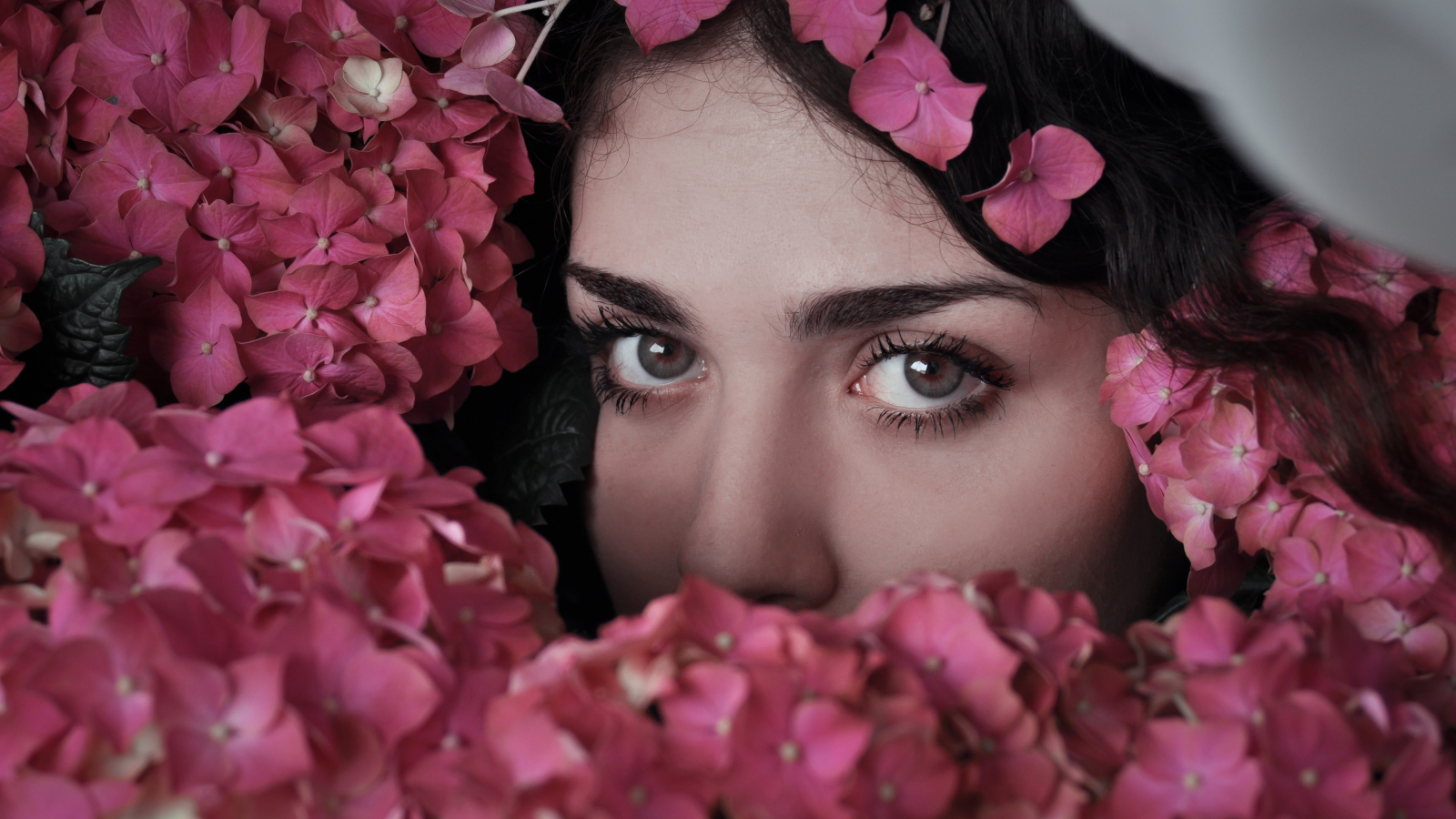 Лицо девушки в розовых цветах гортензии