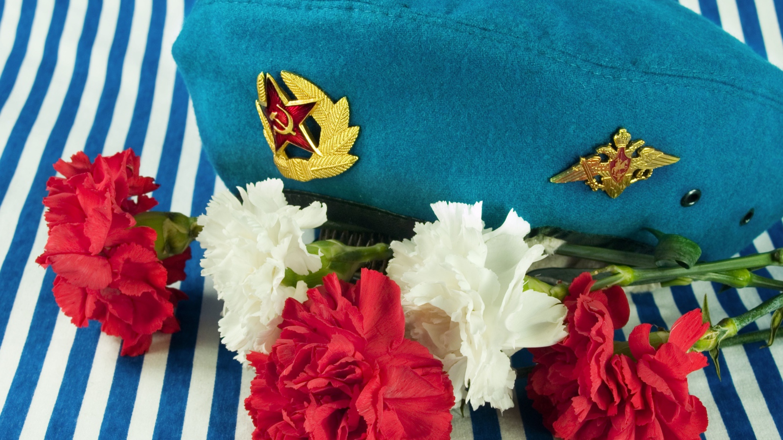 Букет гвоздик, берет ВДВ и тельняшка на 9 мая 