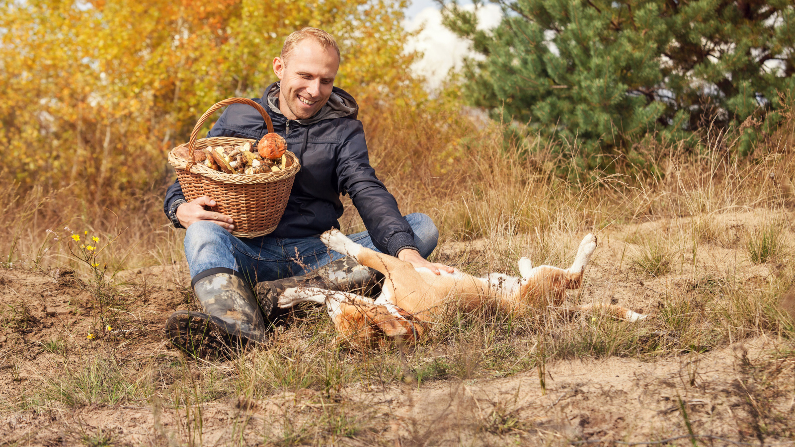 Мужчина собирает грибы с собакой в лесу