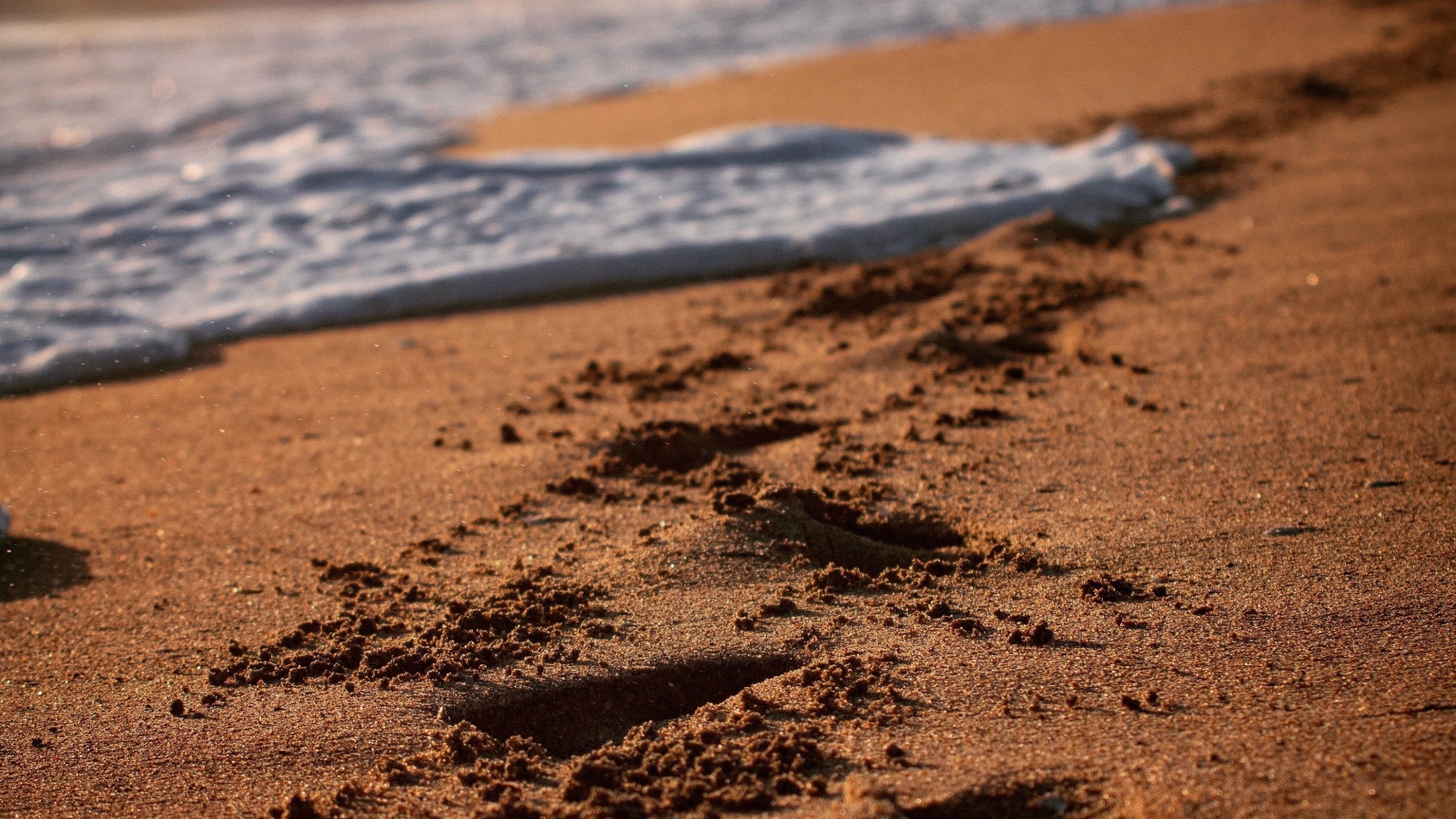 Следы на мокром морском песке с белой пеной