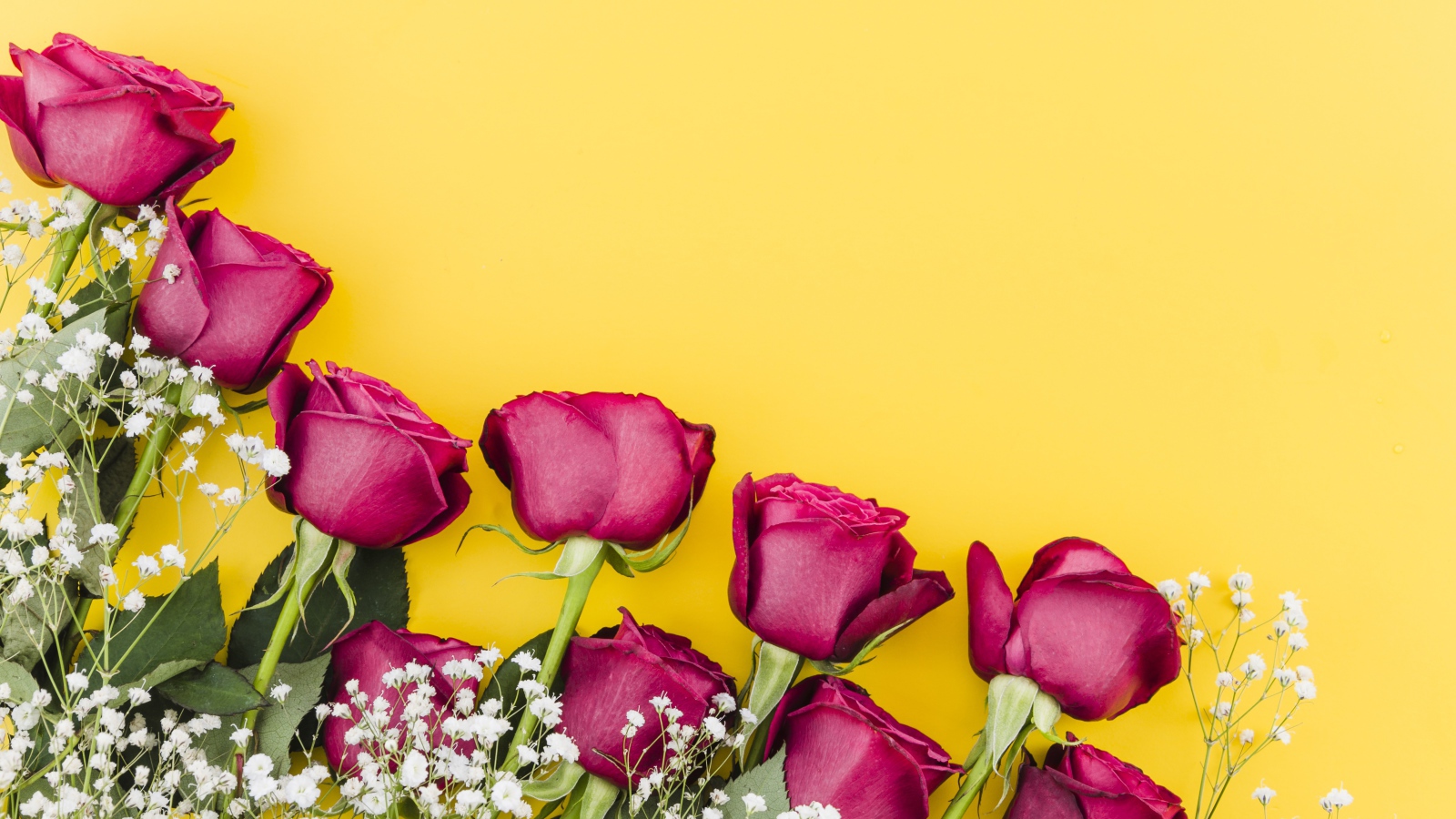 Букет роз с белыми цветами гипсофилы на желтом фоне