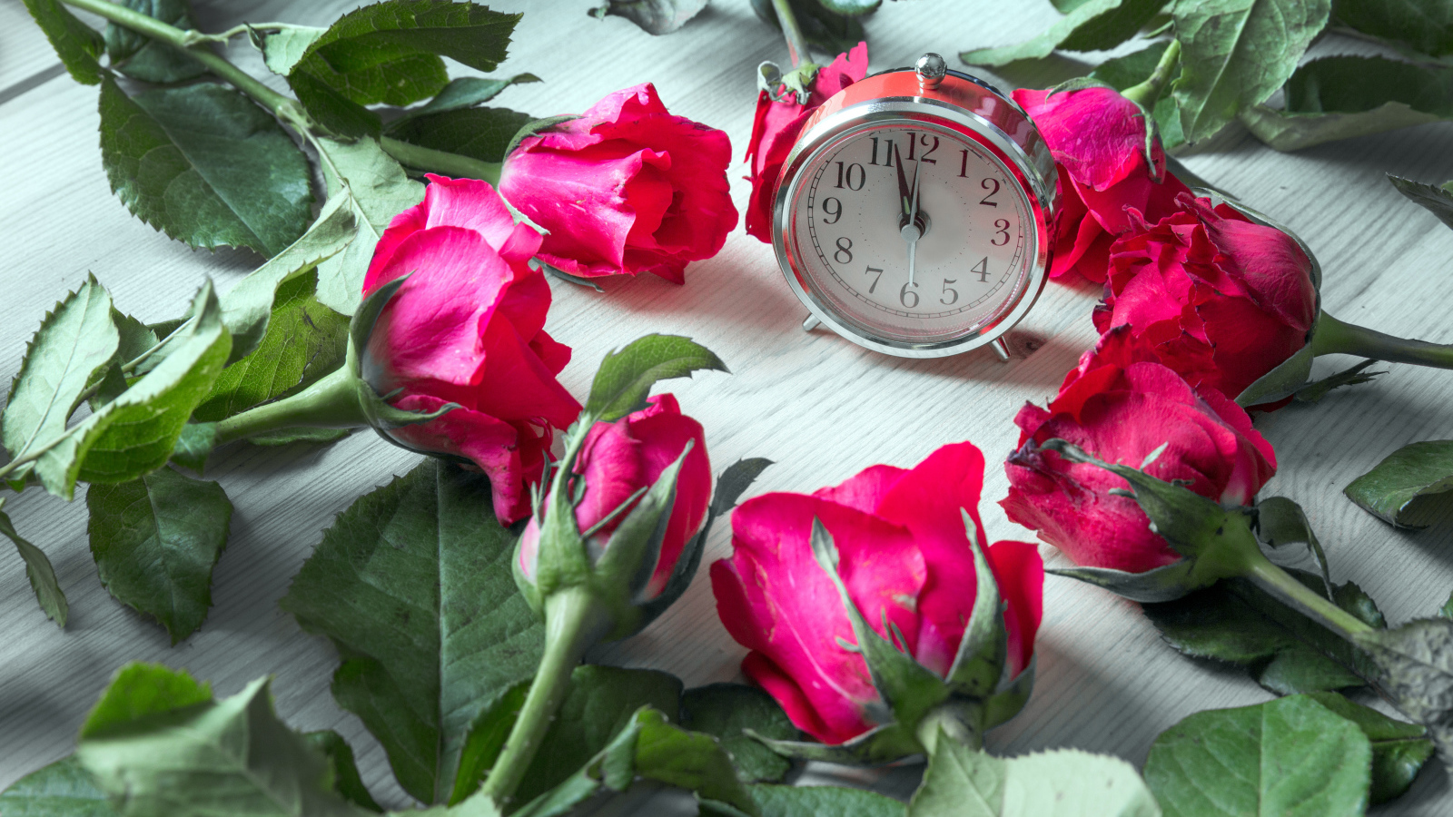 Будильник и красные розы на столе 