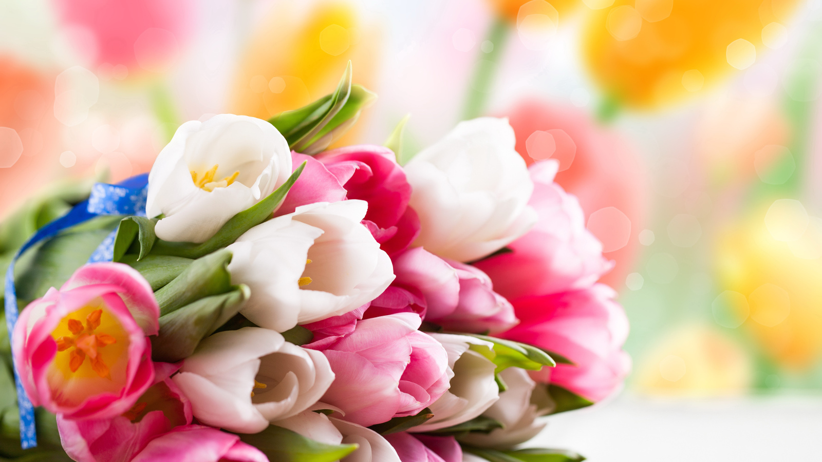 Красивый букет розовых и белых тюльпанов на столе