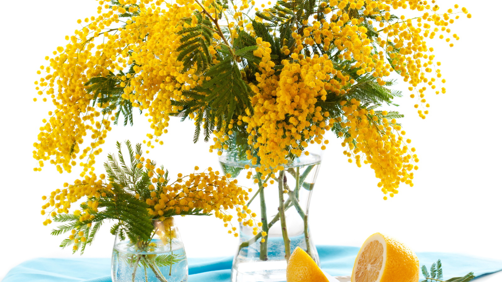 Букет желтой мимозы в вазе на столе с лимоном