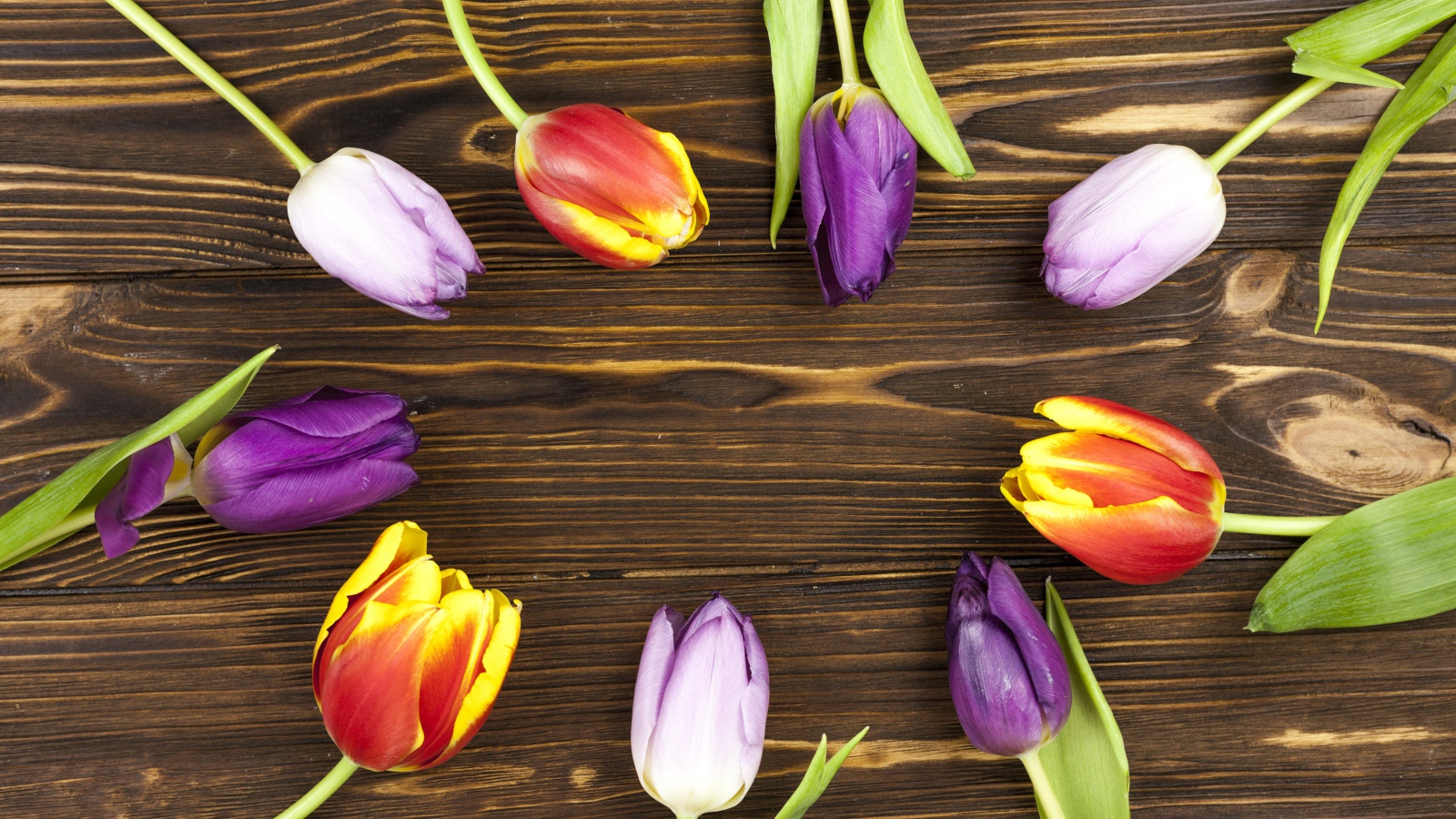 Разноцветные тюльпаны на деревянном фоне