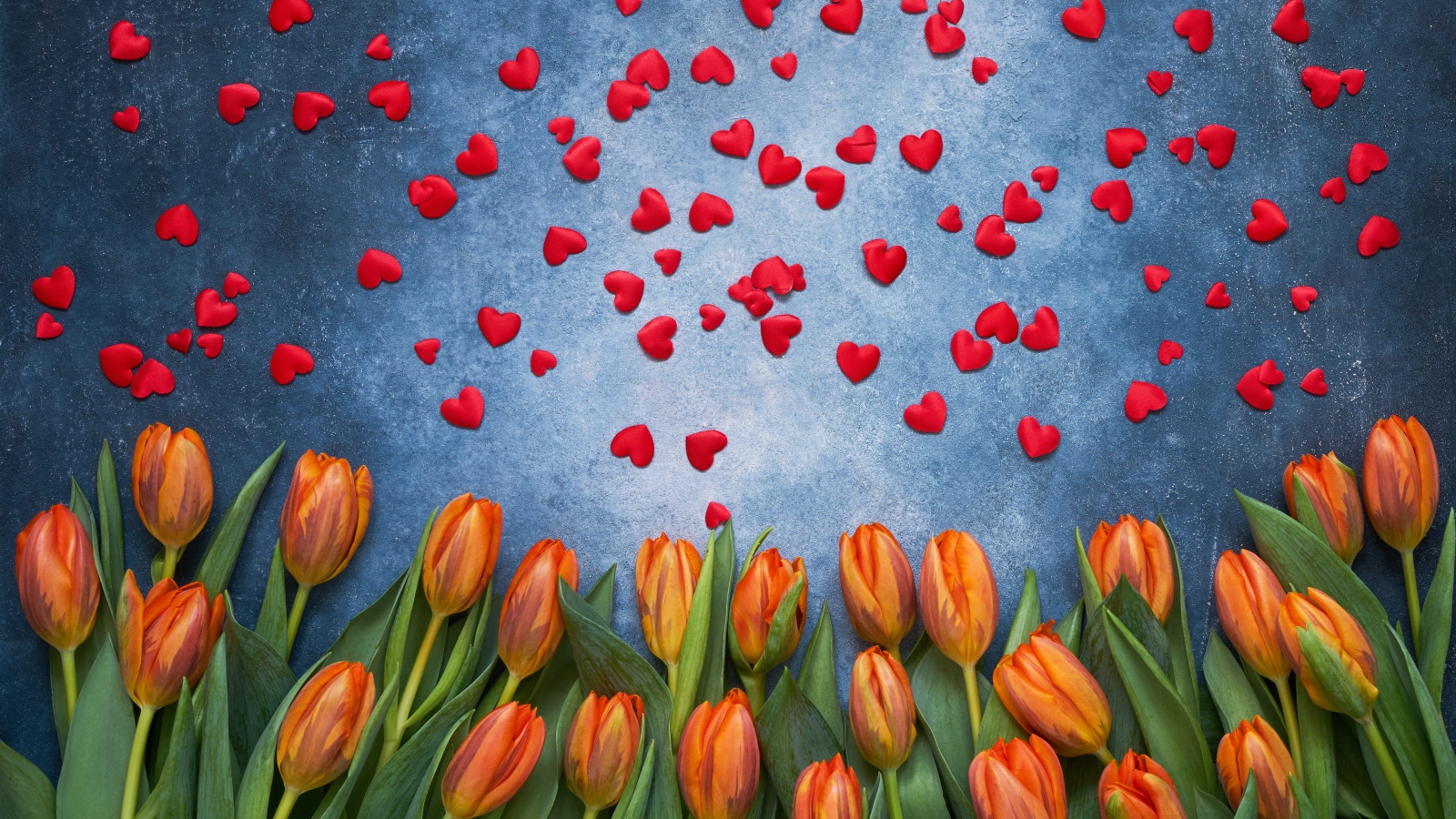 Оранжевые тюльпаны на сером фоне с красными сердечками