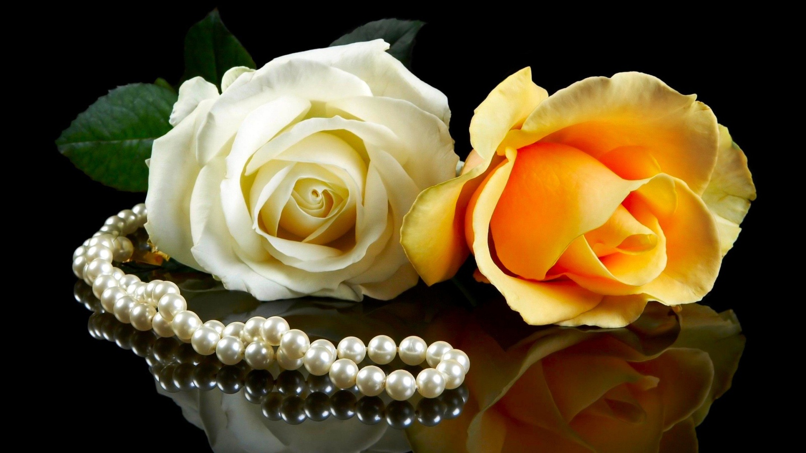 Розовая и желтая роза на черном фоне с бусами из жемчуга 