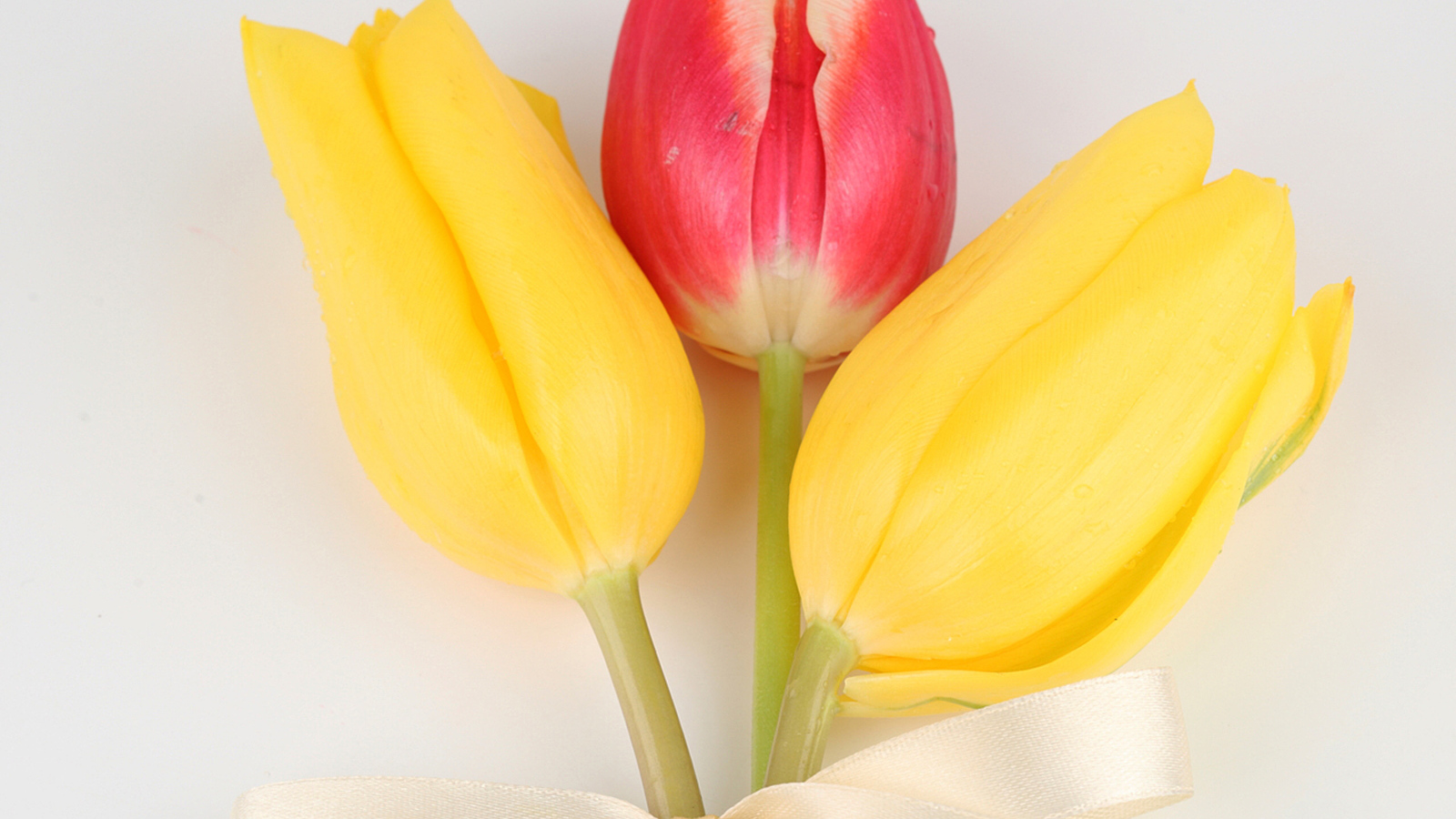 Три тюльпана с бантом на сером фоне