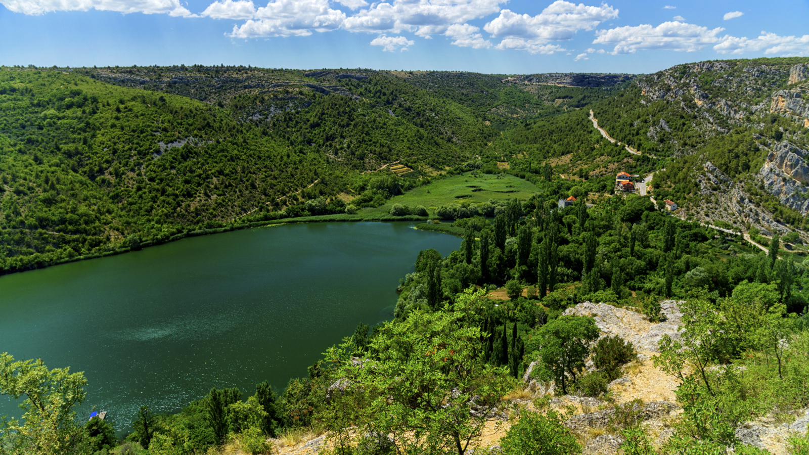 Озеро в живописном зеленом парке под голубым небом 
