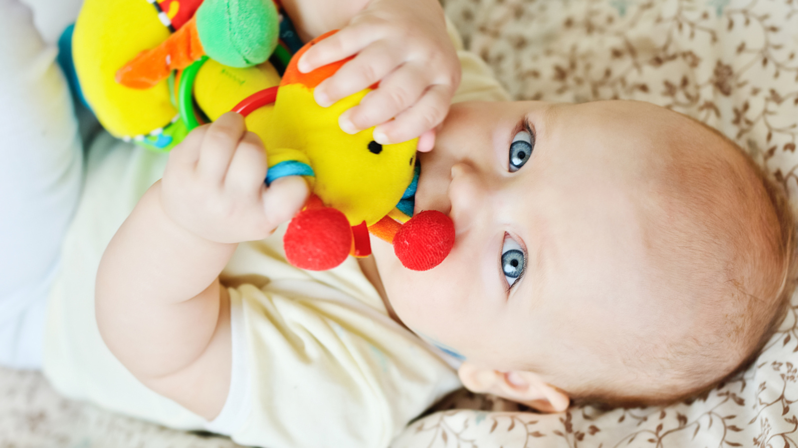 Маленький голубоглазый ребенок грызет игрушку