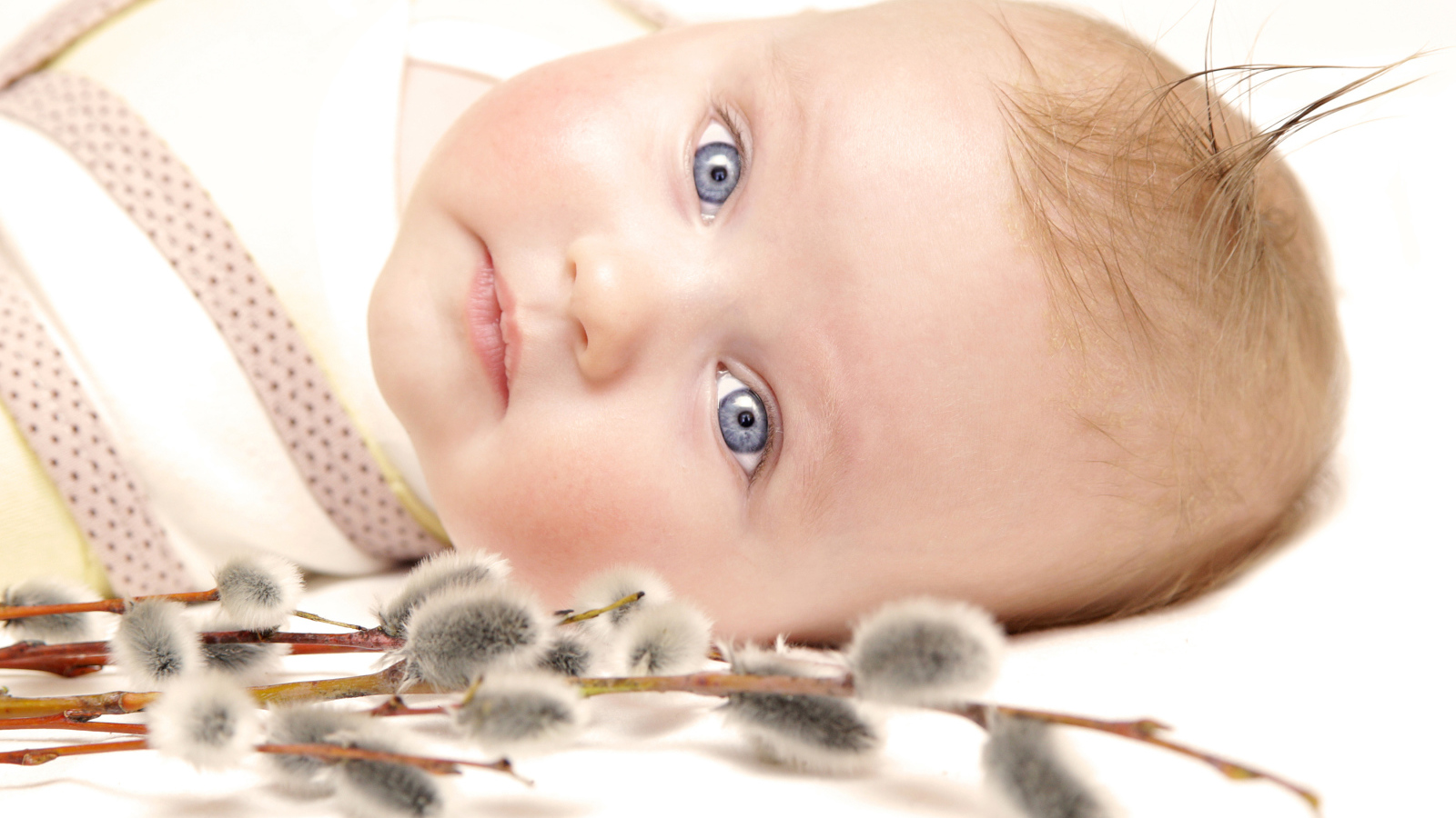 Маленький голубоглазый ребенок с веткой вербы