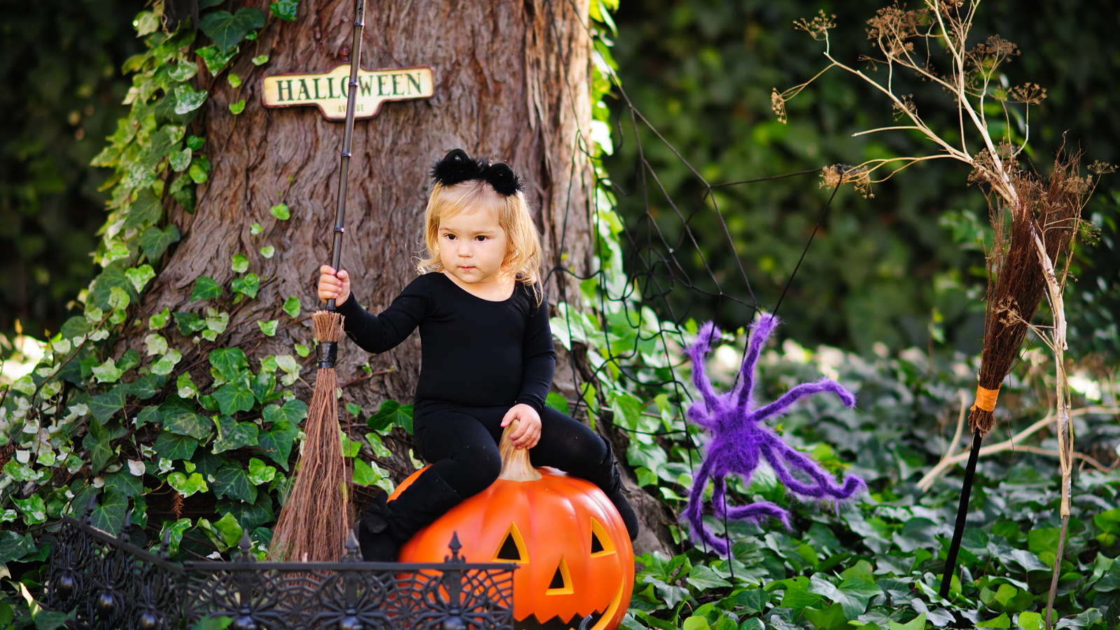 Маленькая девочка сидит на тыкве в лесу в костюме на Хэллоуин 