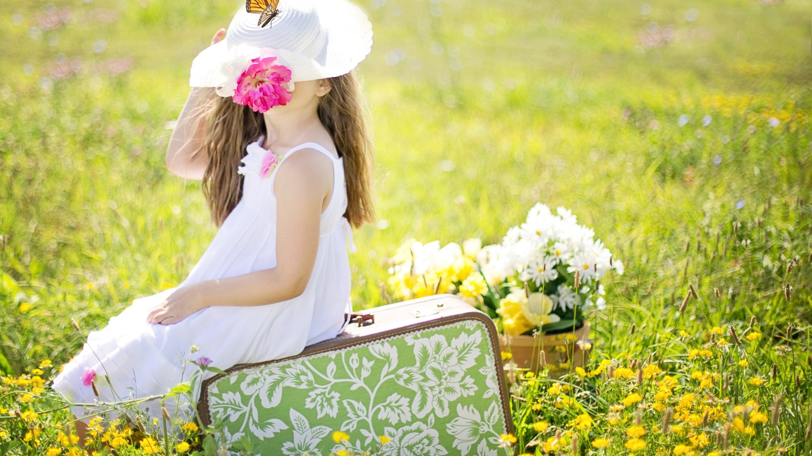 Маленькая девочка сидит на чемодане на поле с цветами