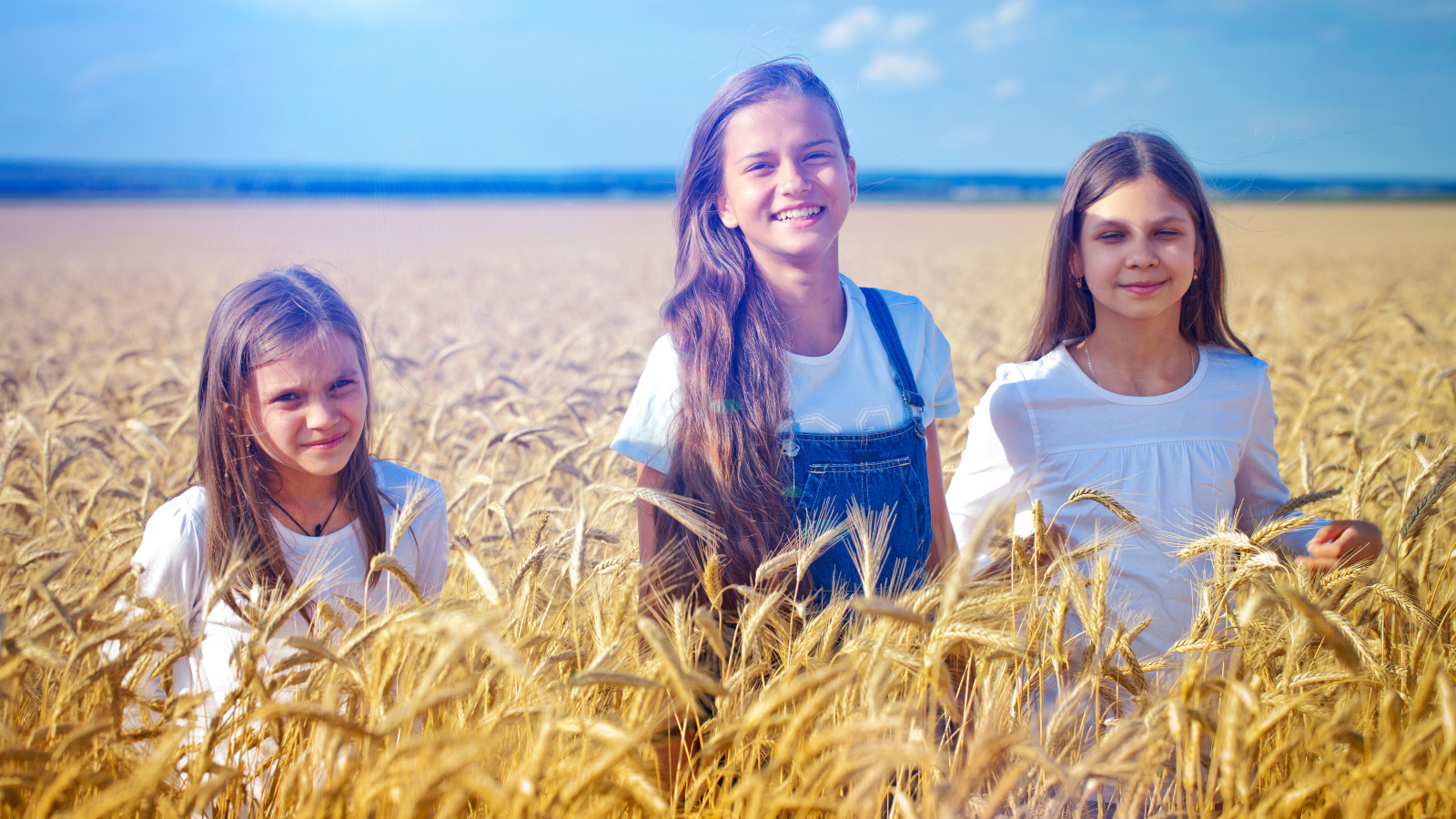 Три девочки на поле с желтой пшеницей