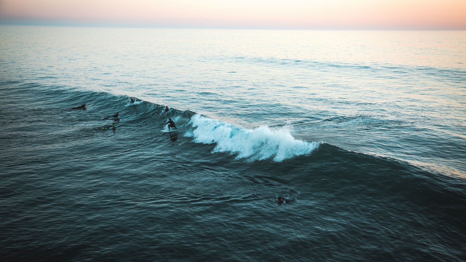 Surfers catch a wave in the sea