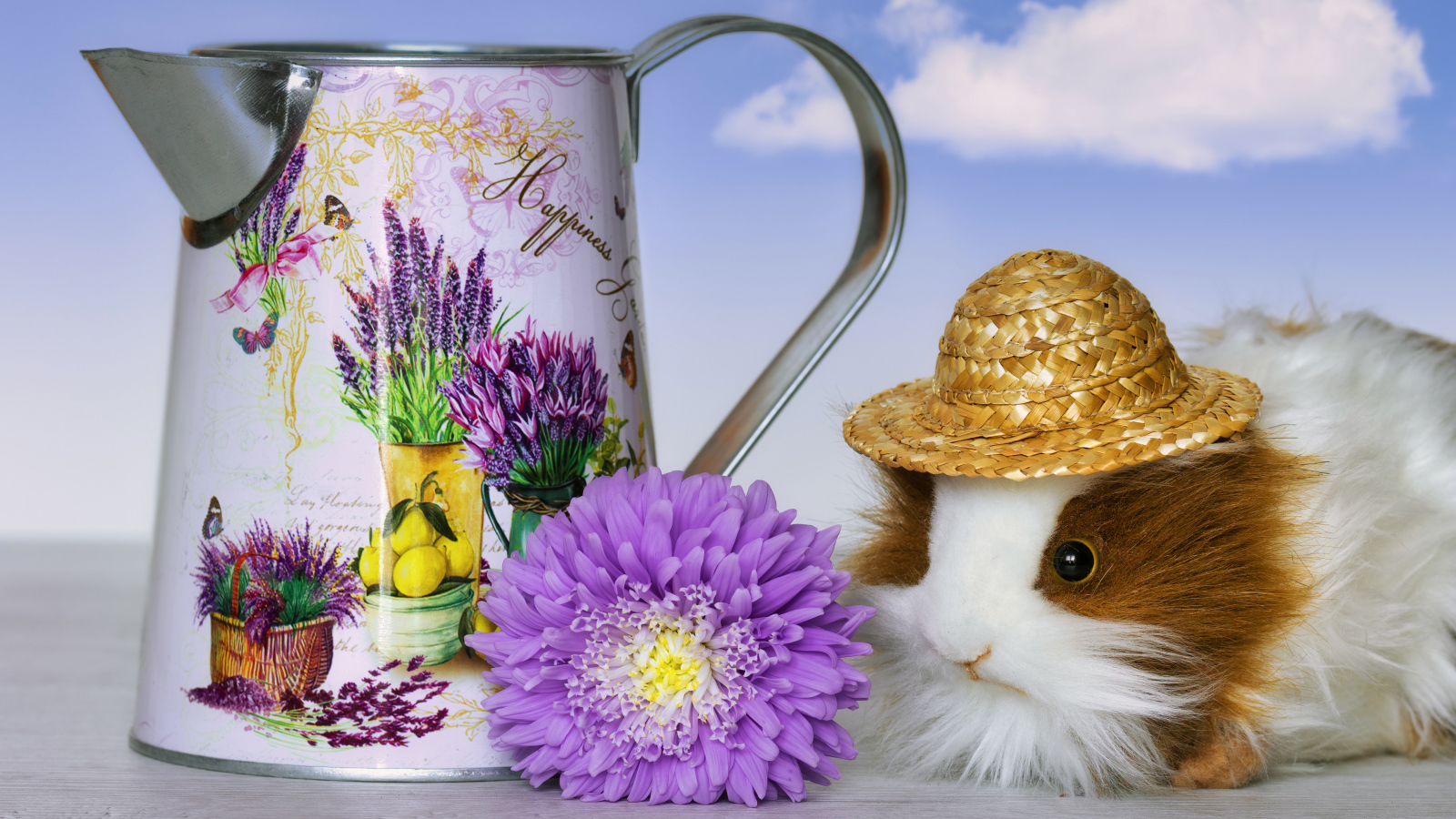 Guinea pig on a table with a watering can and a flower