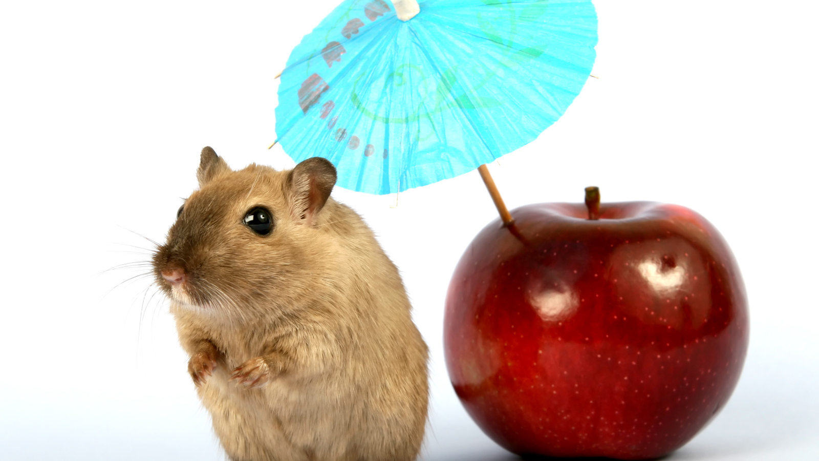 Мышонок с яблоком и зонтиком на белом фоне