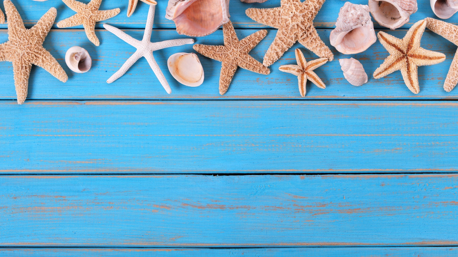 Ракушки и морские звезды на голубом деревянном фоне