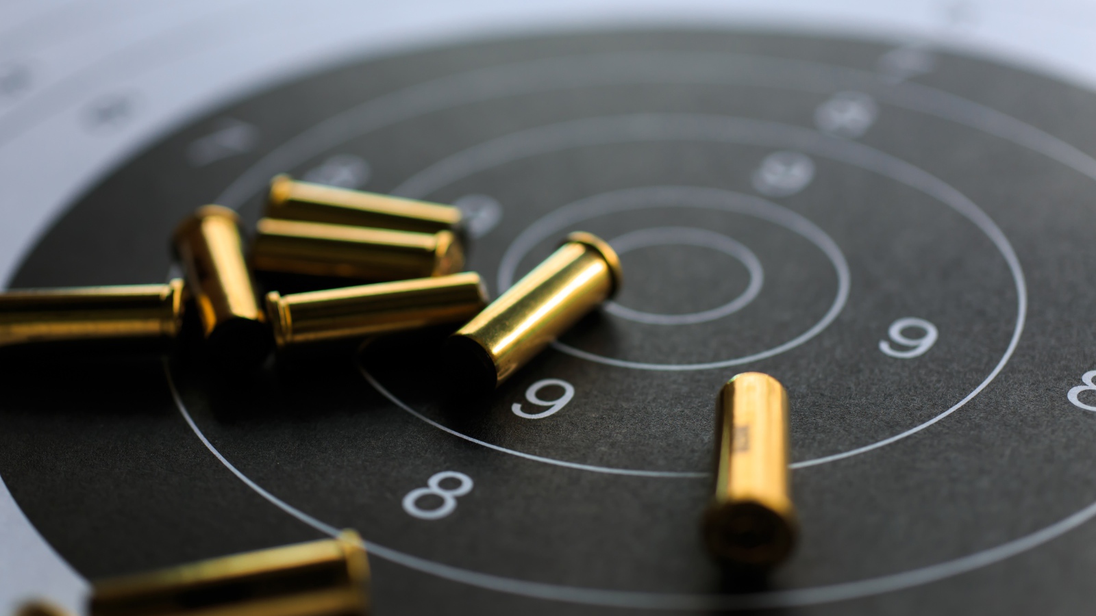 Мишень с патронами крупным планом 