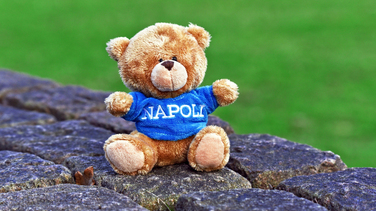 Маленький игрушечный медвежонок сидит на камнях 