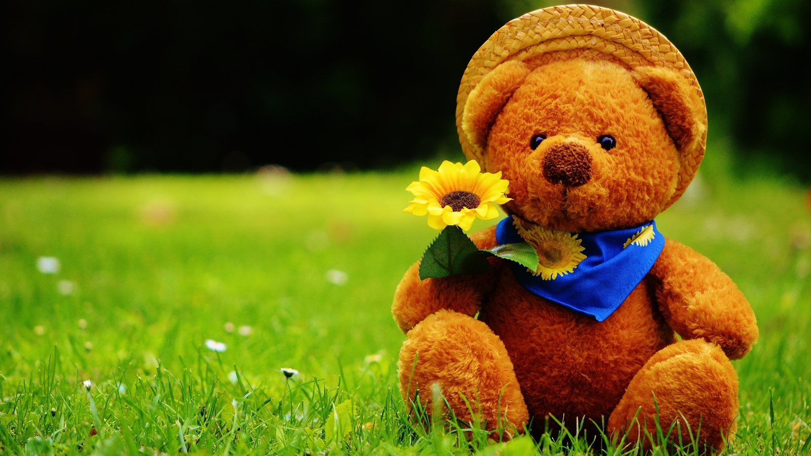 Мишка Тедди с цветком сидит на зеленой траве