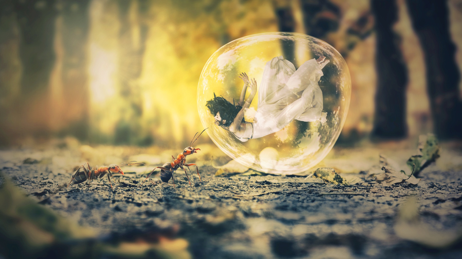 Девушка в пузыре на асфальте с муравьями