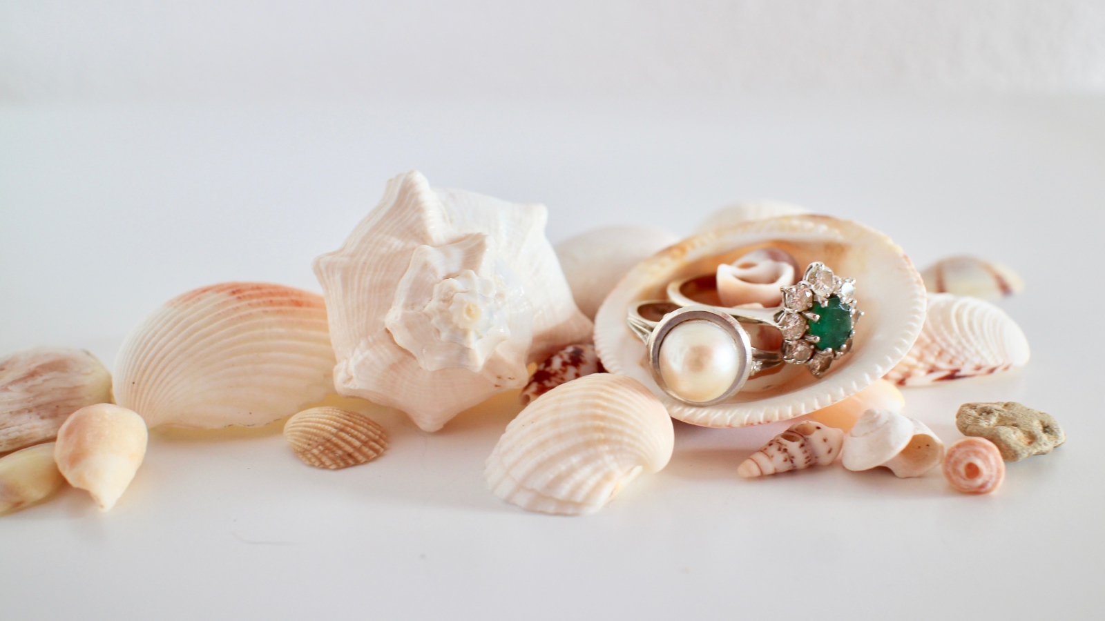 Кольца и ракушки на белом фоне