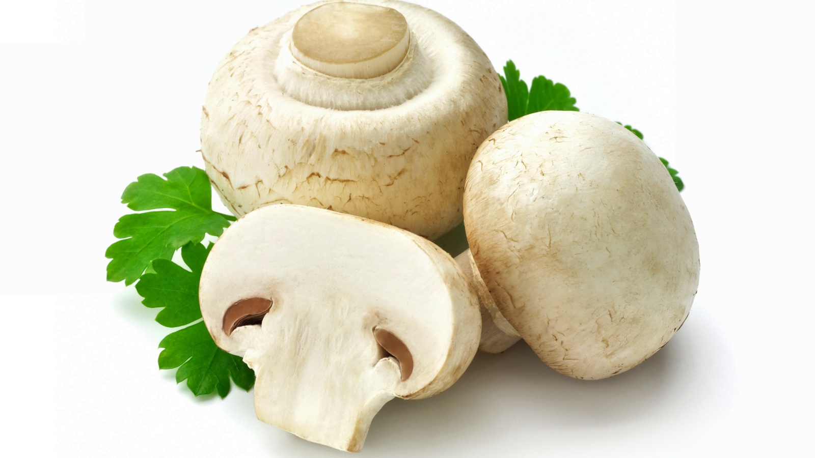 Свежие шампиньоны на белом фоне с петрушкой 