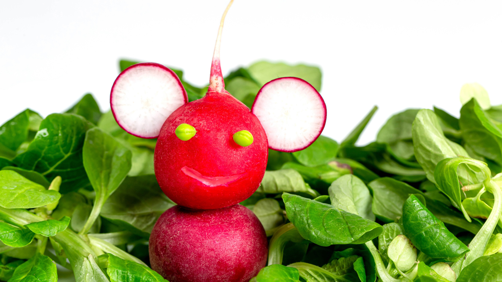 Зверь из красного редиса на листьях базилика 