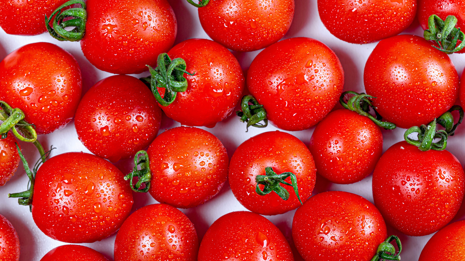 Мокрые красные помидоры крупным планом