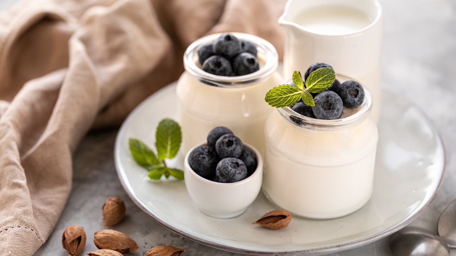 Йогурт на тарелке с ягодами черники 