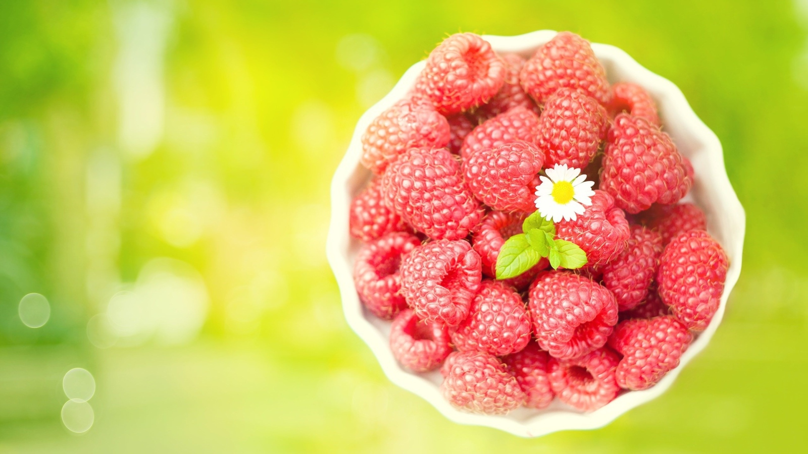 Миска спелой малины с белой ромашкой