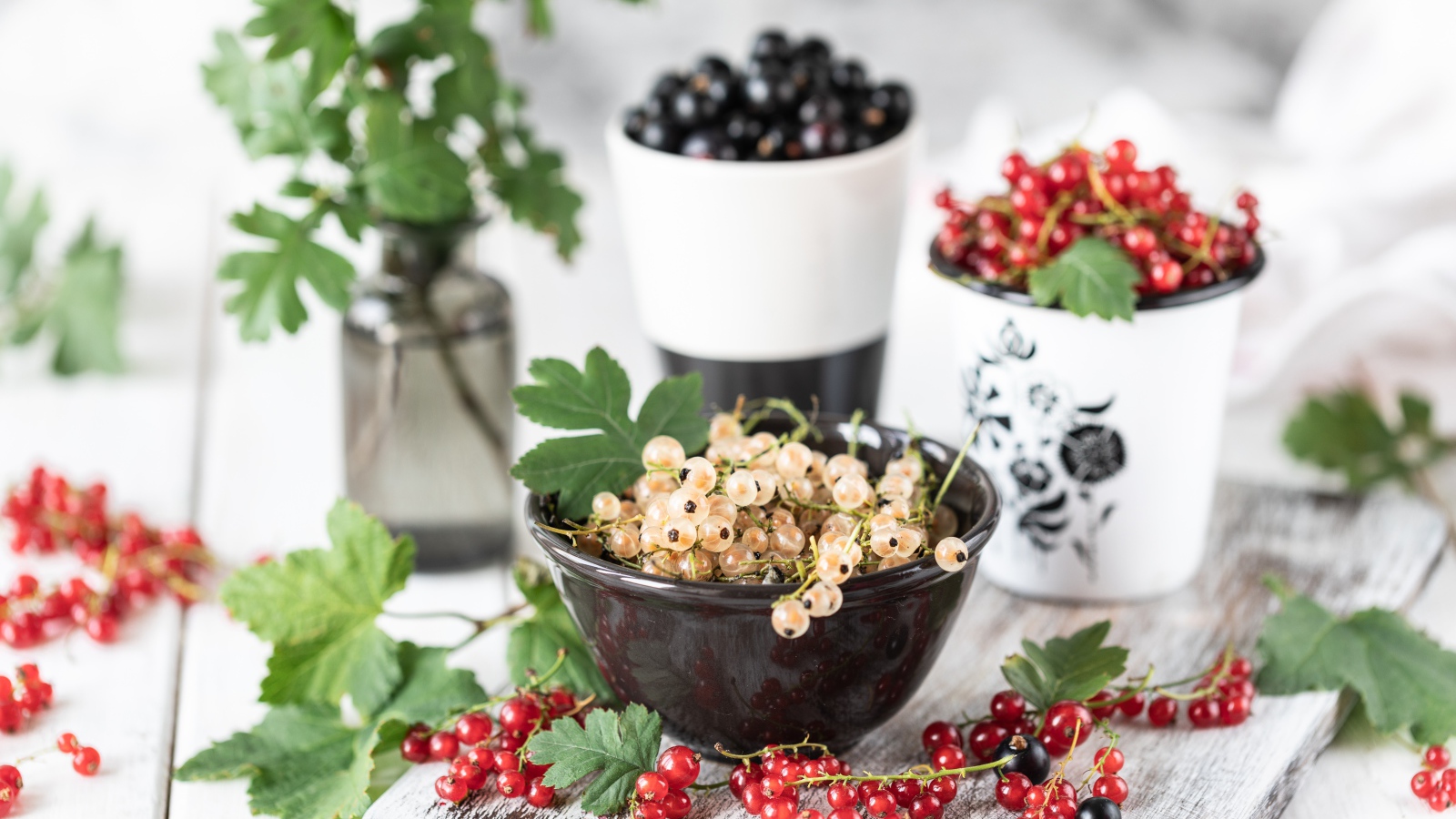 Свежая красная, черная и белая смородина на столе