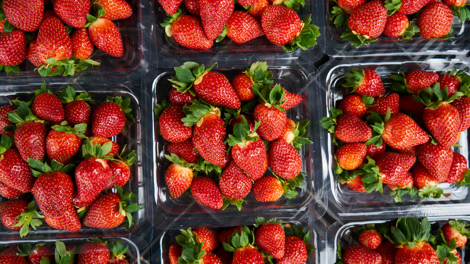 Много контейнеров со спелой сочной красной клубникой 