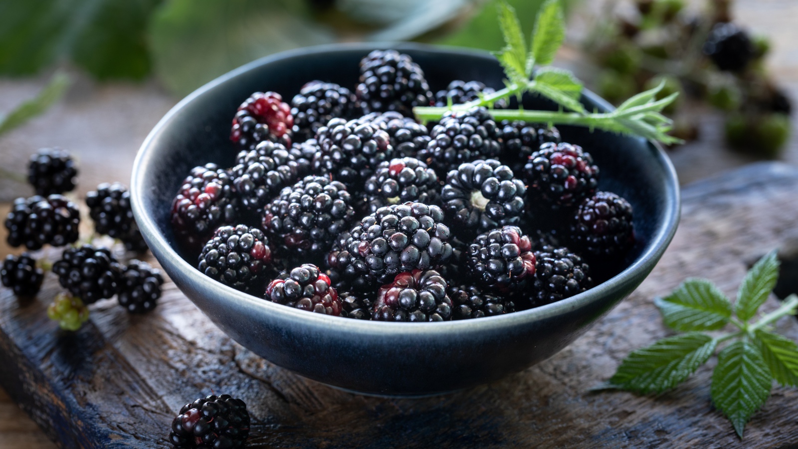 Спелые черные ягоды ежевики в миске на столе 